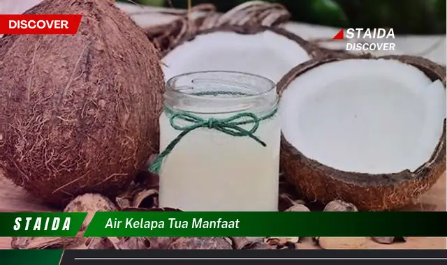 Temukan 7 Manfaat Air Kelapa Tua yang Jarang Diketahui