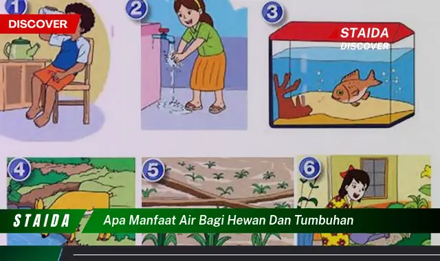 Temukan 7 Manfaat Air bagi Hewan dan Tumbuhan yang Jarang Diketahui