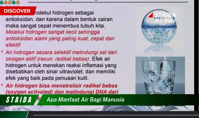 Temukan Khasiat Air Bagi Manusia Yang Jarang Diketahui