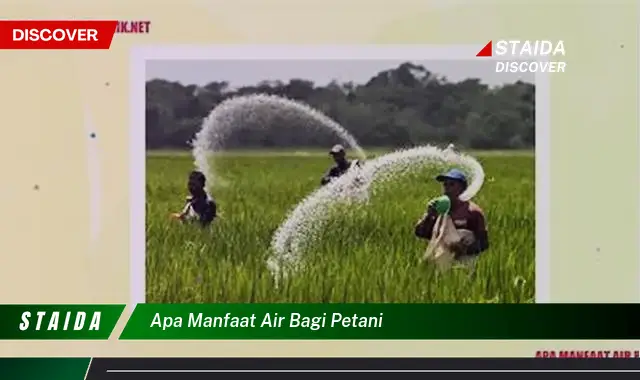 Temukan 5 Manfaat Air bagi Petani yang Jarang Diketahui