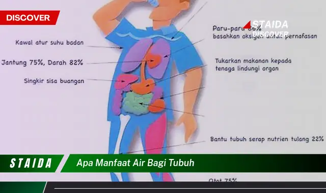 7 Manfaat Air Bagi Tubuh yang Jarang Diketahui