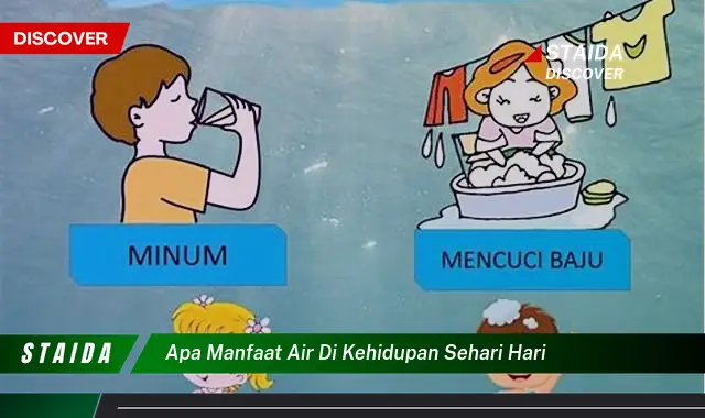 Temukan Manfaat Air dalam Kehidupan Sehari-hari yang Jarang Diketahui