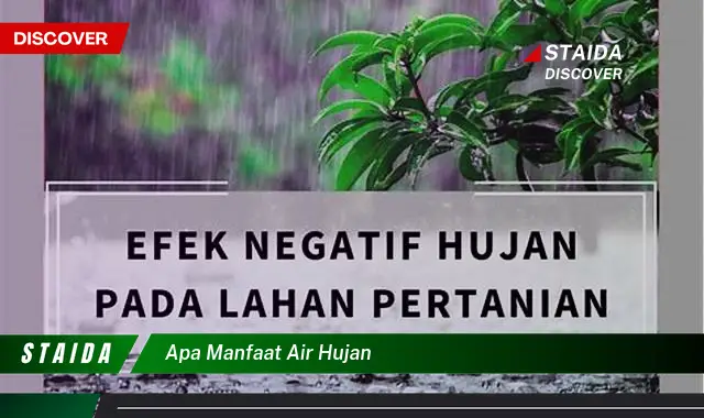 Temukan Manfaat Langka Air Hujan yang Perlu Anda Ketahui