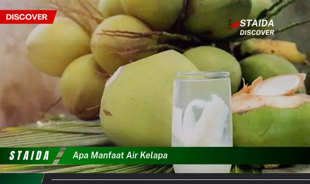 Temukan 5 Manfaat Air Kelapa yang Jarang Diketahui