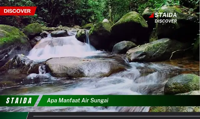 7 Manfaat Air Sungai yang Jarang Diketahui