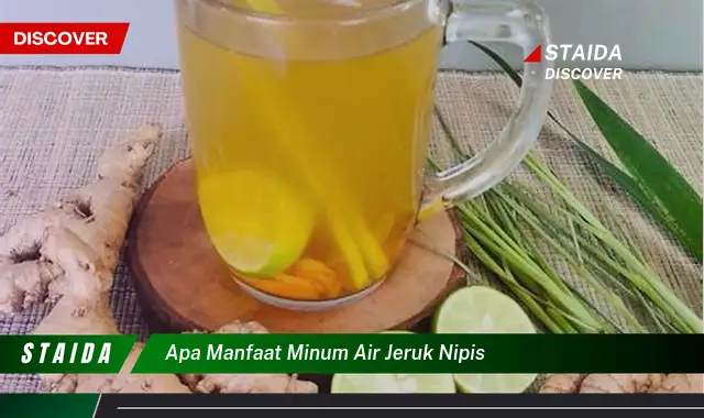 Temukan 7 Manfaat Minum Air Jeruk Nipis yang Jarang Diketahui