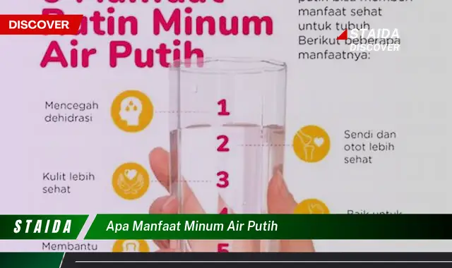 Temukan 7 Manfaat Minum Air Putih yang Jarang Diketahui