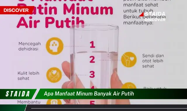 Temukan 7 Manfaat Minum Banyak Air Putih yang Jarang Diketahui