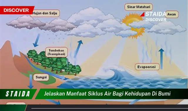 Temukan Manfaat Siklus Air yang Jarang Diketahui bagi Kehidupan di Bumi