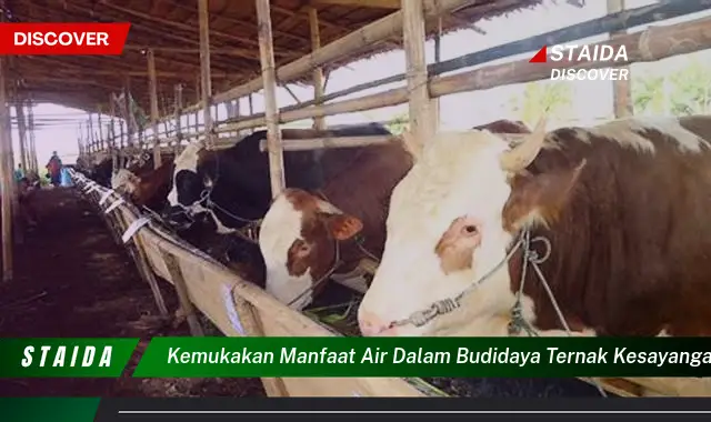 Temukan 7 Manfaat Air yang Jarang Diketahui untuk Budidaya Ternak Anda!