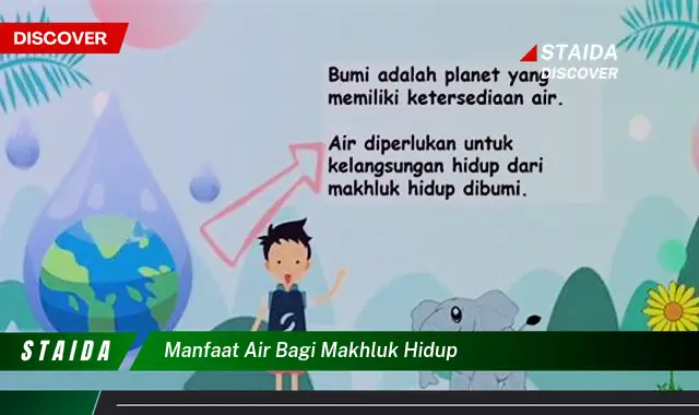 Temukan Manfaat Air yang Belum Banyak Diketahui