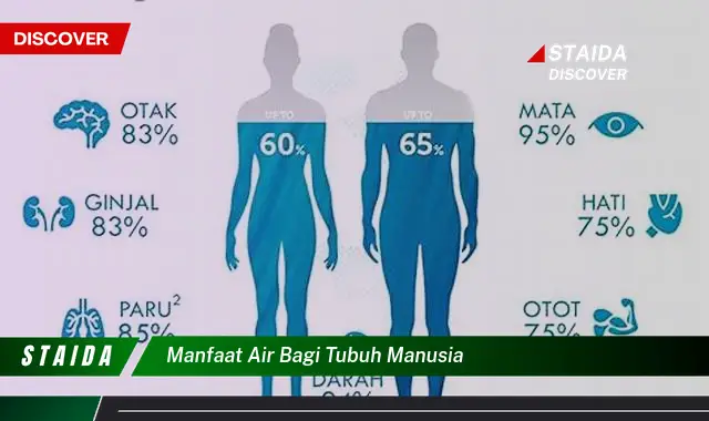 Temukan Manfaat Air bagi Tubuh Manusia, yang Jarang Diketahui