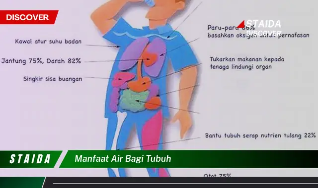 Temukan 7 Manfaat Air bagi Tubuh yang Jarang Diketahui