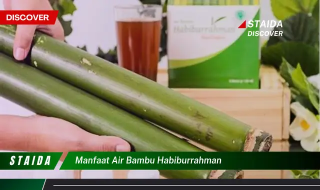 Temukan 7 Manfaat Air Bambu Habiburrahman yang Jarang Diketahui