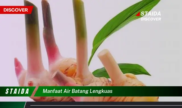 Temukan 7 Manfaat Air Batang Lengkuas yang Jarang Diketahui