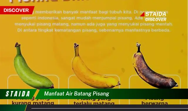 Temukan 7 Khasiat Air Batang Pisang yang Jarang Diketahui