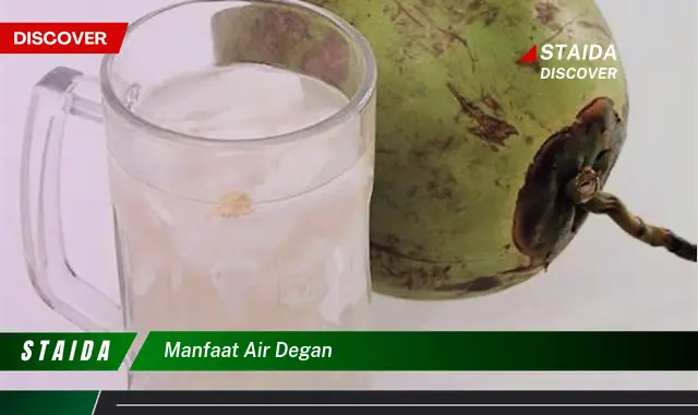 Temukan Manfaat Air Kelapa yang Jarang Diketahui dan Menakjubkan