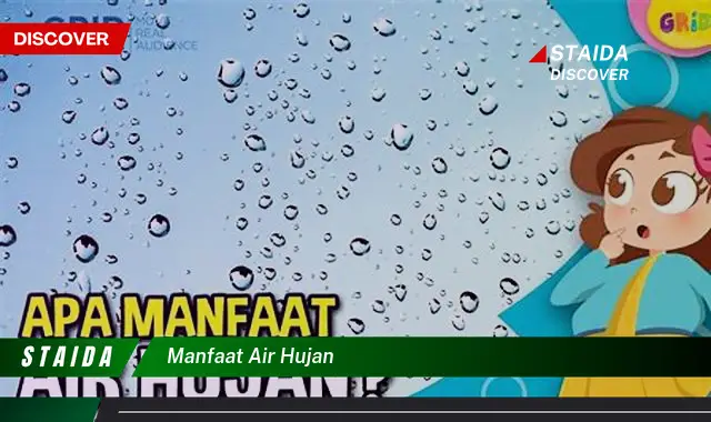 Temukan Manfaat Tersembunyi Air Hujan yang Jarang Diketahui