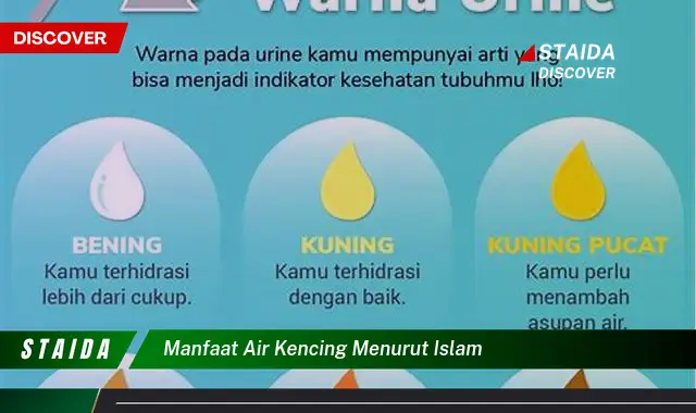 Temukan Manfaat Air Kencing Menurut Islam, Dijamin Terkejut!