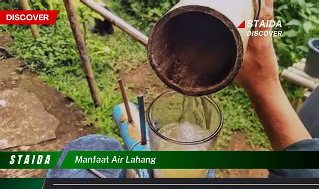 Temukan Manfaat Air Lahang yang Menakjubkan!