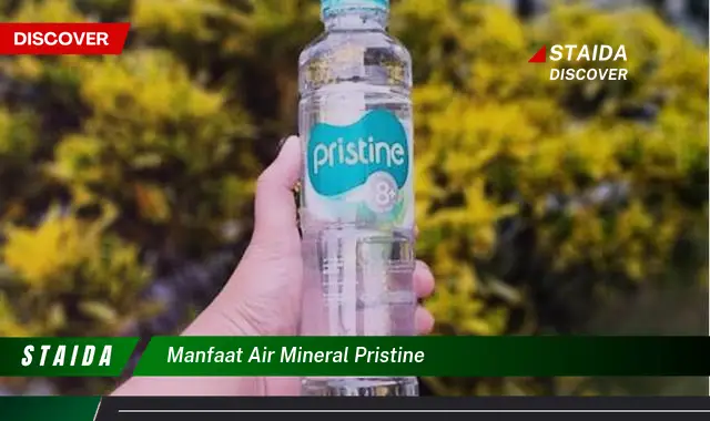 Manfaat Air Mineral Pristine yang Jarang Diketahui, Wajib Dicoba!