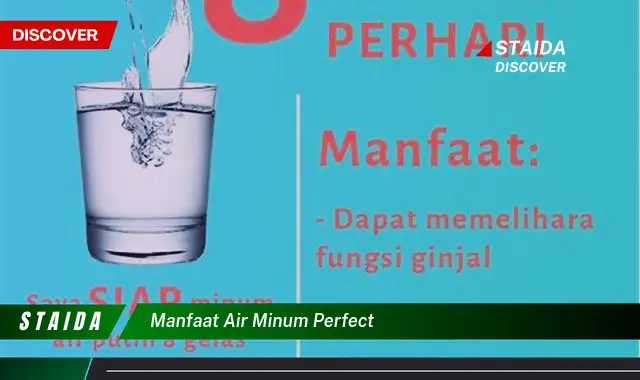 Ungkap Manfaat Air Minum Perfect yang Jarang Diketahui