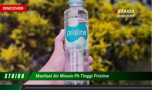 Temukan 7 Manfaat Air Minum pH Tinggi Pristine yang Jarang Diketahui