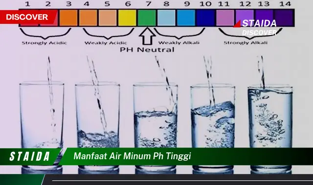 Temukan 7 Manfaat Air Minum pH Tinggi yang Jarang Diketahui