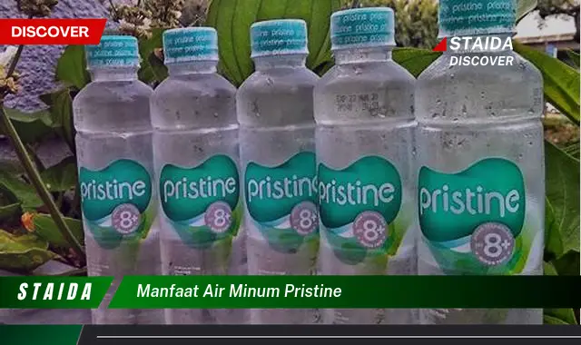 Temukan 7 Manfaat Air Minum Pristine yang Belum Diketahui Banyak Orang