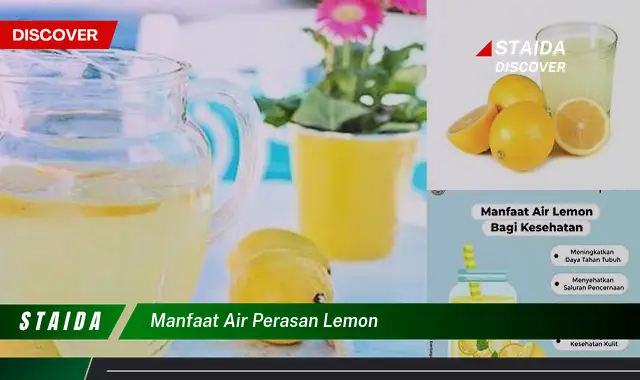 Temukan 7 Manfaat Air Perasan Lemon yang Jarang Diketahui