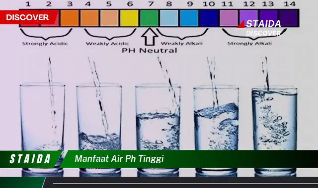 Temukan Manfaat Air pH Tinggi yang Jarang Diketahui