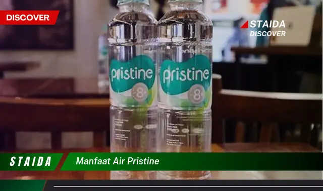 Temukan Manfaat Air Pristine yang Jarang Diketahui