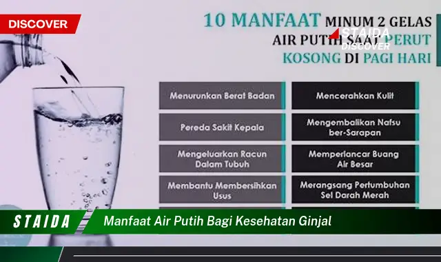 Ungkap Rahasia Air Putih untuk Kesehatan Ginjal Anda