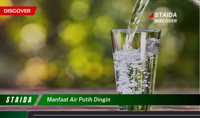 Temukan 7 Manfaat Air Putih Dingin yang Jarang Diketahui