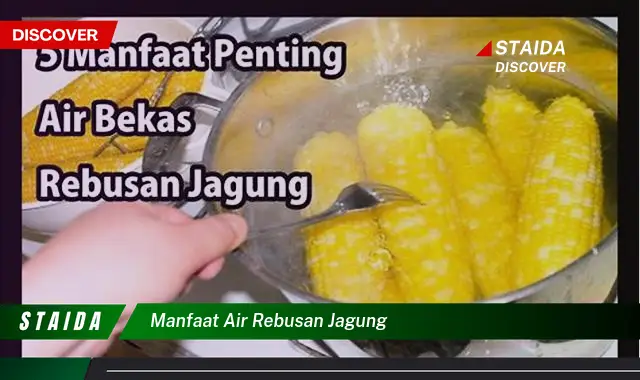 Manfaat Air Rebusan Jagung yang Jarang Diketahui, Wajib Tahu!