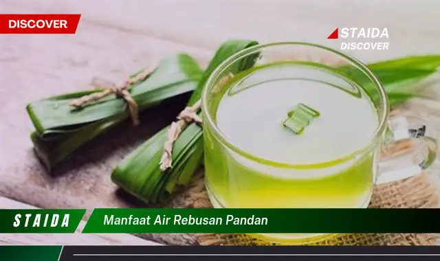 Temukan 7 Manfaat Air Rebusan Pandan yang Jarang Diketahui