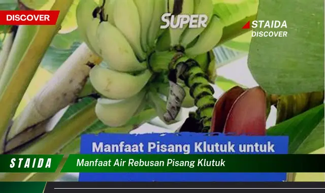 Ungkap 7 Manfaat Air Rebusan Pisang Klutuk yang Jarang Diketahui