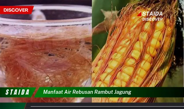 Temukan 7 Manfaat Air Rebusan Rambut Jagung yang Jarang Diketahui