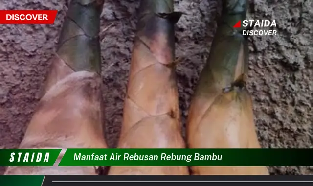 Temukan Rahasia Manfaat Air Rebusan Rebung Bambu yang Jarang Diketahui