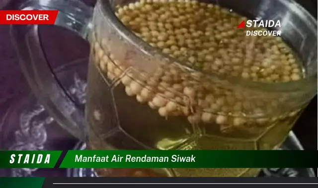 Temukan 7 Manfaat Air Rendaman Siwak yang Jarang Diketahui