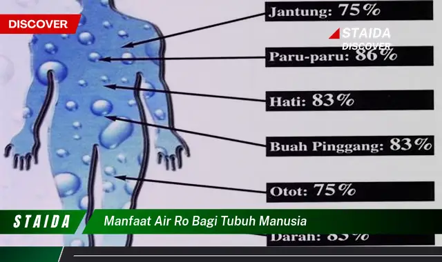 Temukan Manfaat Air RO untuk Tubuh Anda yang Jarang Diketahui