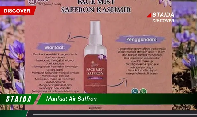 Temukan Manfaat Air Saffron yang Jarang Diketahui