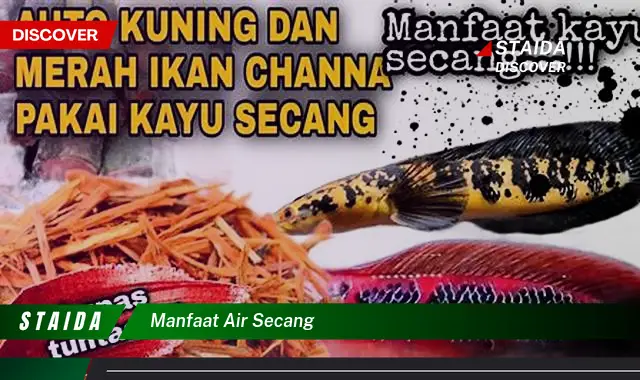 Temukan Manfaat Air Secang, Jarang Diketahui!