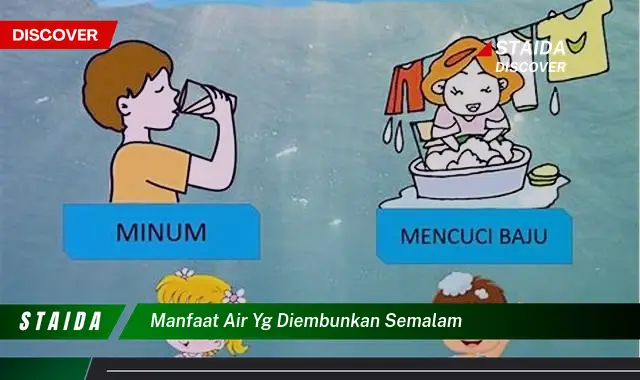 Temukan Manfaat Air yang Diembunkan Semalam yang Jarang Diketahui