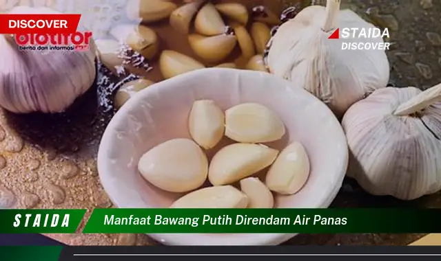 Temukan Khasiat Bawang Putih Rendaman Air Panas yang Menakjubkan