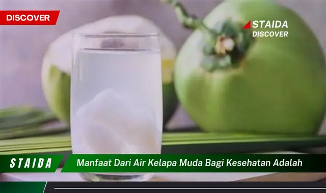 Temukan 7 Manfaat Air Kelapa Muda yang Jarang Diketahui