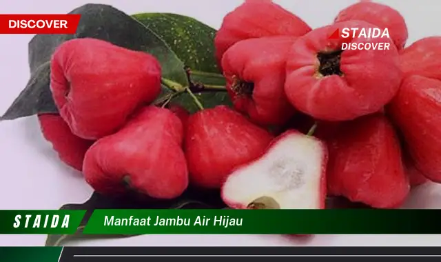 Temukan Manfaat Jambu Air Hijau yang Jarang Diketahui!