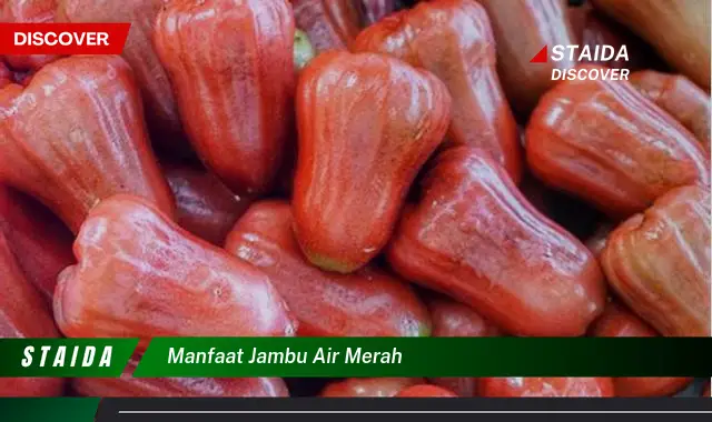 Temukan 7 Khasiat Jambu Air Merah yang Jarang Diketahui