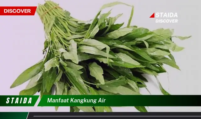 Manfaat Luar Biasa Kangkung Air Anda Perlu Tahu