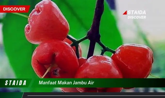 Temukan 7 Manfaat Makan Jambu Air yang Jarang Diketahui